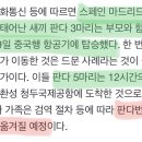 스페인 판다가족 5마리 中으로 이송… 푸바오도 4월 중국행 이미지