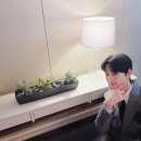 고양이정원 이미지