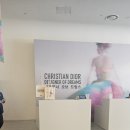 디자이너오브드림스, 디올 전시, 디올 앤 아이 후기