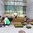 서정동행정복지센터 이미지