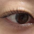 아이홀릭 이미지