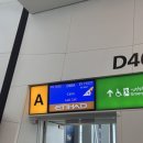 713 | [이집트생존기] Ep.1 - 에티하드 EY713 후기, 카이로 입국(2026.02.24~2026.02.26) 🇪🇬