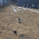 내판3리 마을회관 이미지