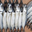 야시골협동조합 이미지