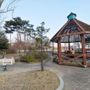 영덕레스피아 농구장 이미지