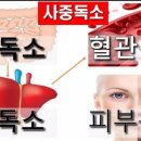 크린톡