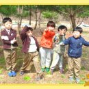 재완농장 Daum카페