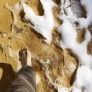 동목포공원1 이미지