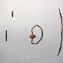 연꽃사진관 이미지