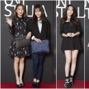 스텔라스타 조선일보