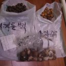 안덕천 Daum카페