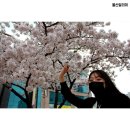 예술회관사거리 네이버블로그