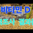 비타민 D 섭취가 사망 위험 낮춘다&#34;... 휴온스, 고함량 비타민 이미지