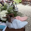 스미스 플라워 | 서울 스미스가좋아하는한옥 야외 소규모 웨딩 결혼식 전문 여자사회자 준비부터 진행 과정