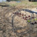 윤형농장 이미지