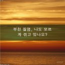 부천정다운여성의원 이미지