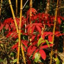 득량주유소 이미지