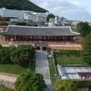 장군청과
