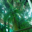 경상북도산림과학박물관 이미지