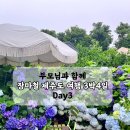 강정동-64 | 부모님과 제주도 수국 구경 / 비오는 날 제주도 3일차(숙소-성산 아띠랑스 풀앤스파 호텔)