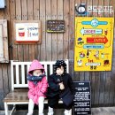 봄날분식카페 이미지