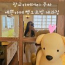 르방제과점 | 수원광교박물관 주차비 광교카페거리 예쁜 뺑오르방제과점