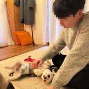 품이네 애견방 | 경주 | 강아지랑 KTX 타고 1박2일 뚜벅이여행하기