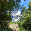 샤롯데부동산공인중개사사무소 이미지