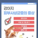 보드미피부관리