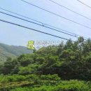 야산목장 이미지