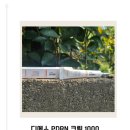 맑은약국 | 디에스pdrn크림 1000 주름 개선 특화된 약국pdrn 연어 재생 탄력 크림