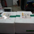 구름나그네 이미지