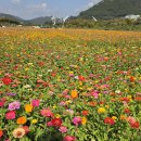 양산(황산공원,춘추공원)26,10,05(신카니발)처,딸 이미지