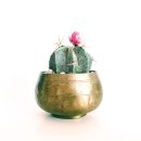 전영택「화수분」 | 화수분 전영택-가난! 죽음! 따뜻함!