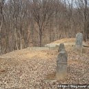 정경부인 이미지