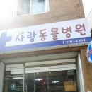 사랑동물병원 | 강북구 수유동 동물병원 사랑동물병원 위치 오는길 후기