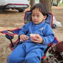 춘장대솔내음캠핑장 | 춘장대 솔내음야영장 / n번째 방문후기(캠핑장 추천)(25년 5월)