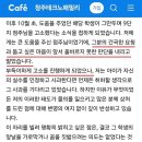 보배다방 - 서귀포시 | 보배다방