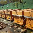 오늘은봄날 이미지