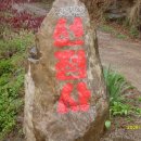 선명사 Daum카페
