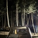 오션드림 | 서해 노을맛집, 태안 오션뷰 캠핑장 : 바다드림캠핑장⛺️ 갯벌 바지락 맛조개 체험후기있음🦀