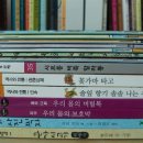 세일성준