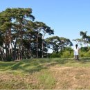 나정펜션 이미지