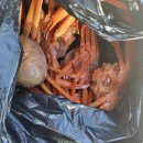 묵호어판장 이미지