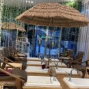 3호선 서문시장역 | [서문시장 족욕카페] 대구 힐링 명소 '쉼족욕카페' 족욕패키지 가성비 후기 🌴🦶