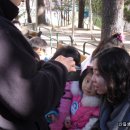 당평초등학교 이미지