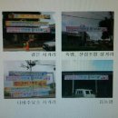 루안몽니스샵