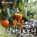 집밥 여선생 | 9월부터 달라집니다💦 - 달라지기 전 8월 일상