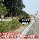 오름목장 Daum카페