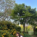 제주아그로 이미지